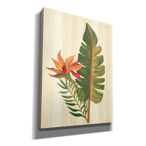 Image of 'Tropical Garden VI' by Silvia Vassileva, Canvas Wall Art,12x16x1.1x0,20x24x1.1x0,26x30x1.74x0,40x54x1.74x0