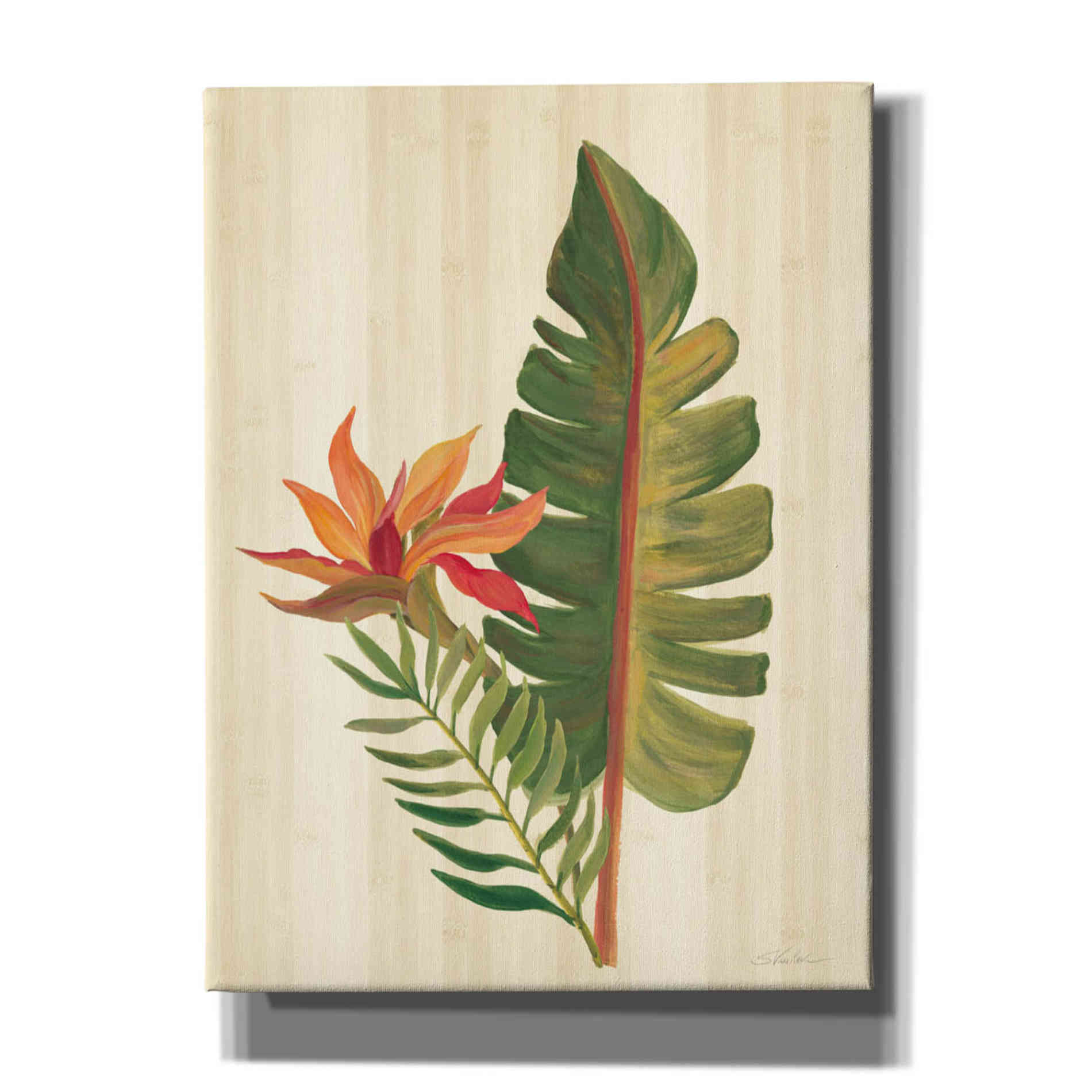 'Tropical Garden VI' by Silvia Vassileva, Canvas Wall Art,12x16x1.1x0,20x24x1.1x0,26x30x1.74x0,40x54x1.74x0