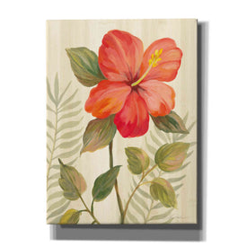 'Tropical Garden XI' by Silvia Vassileva, Canvas Wall Art,12x16x1.1x0,20x24x1.1x0,26x30x1.74x0,40x54x1.74x0