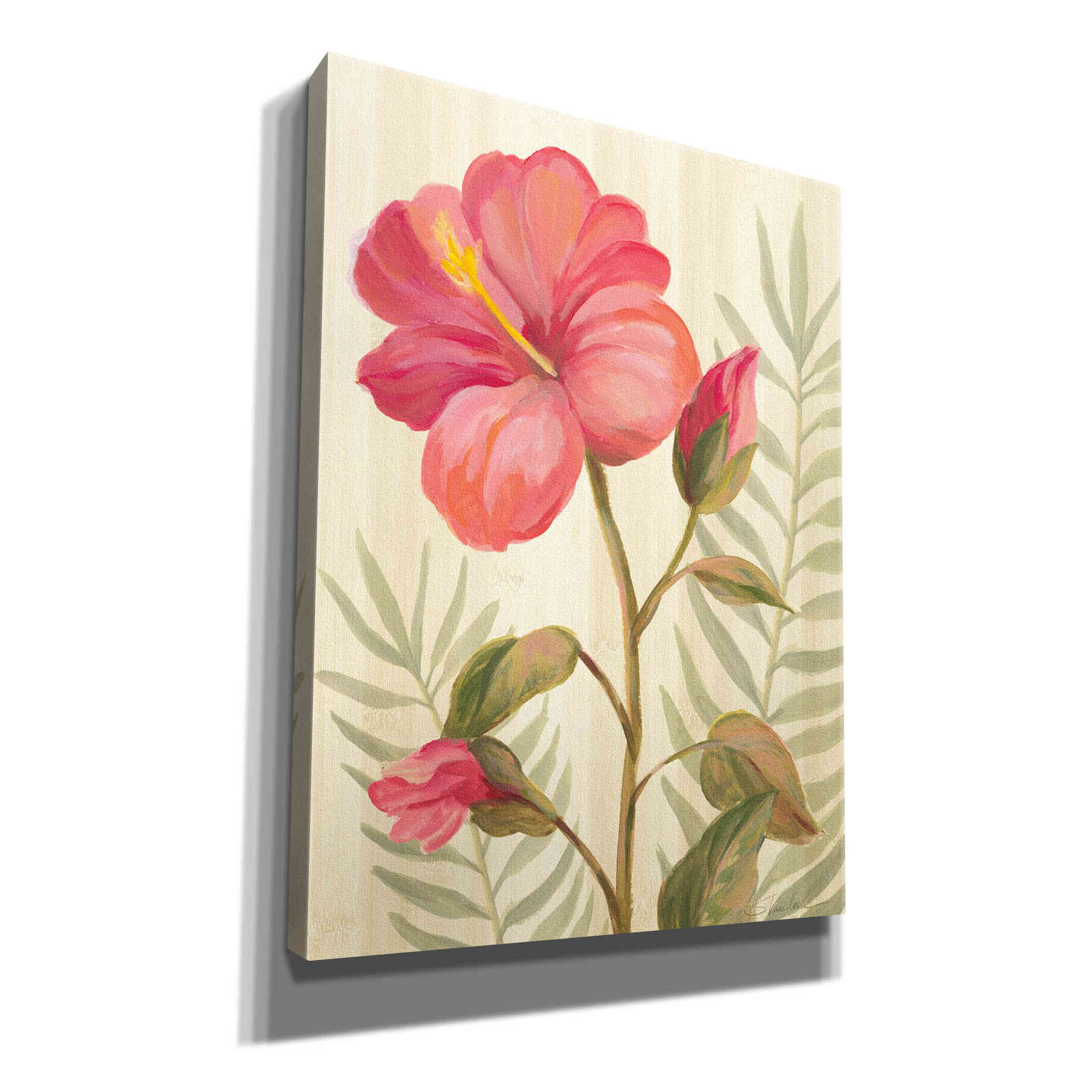 'Tropical Garden XII' by Silvia Vassileva, Canvas Wall Art,12x16x1.1x0,20x24x1.1x0,26x30x1.74x0,40x54x1.74x0