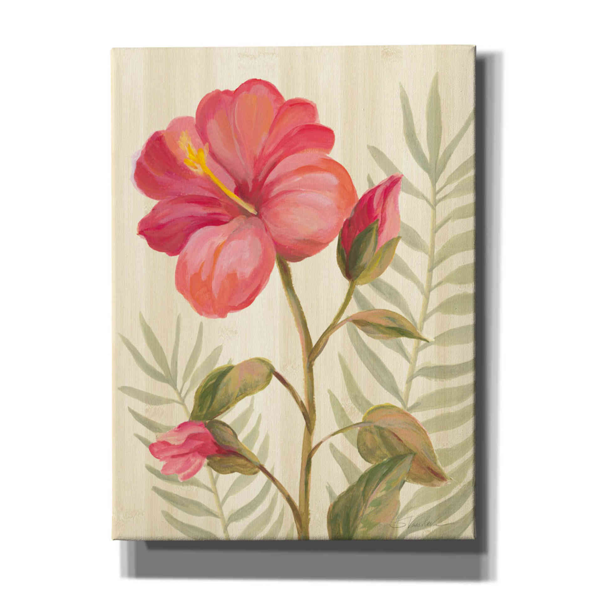 'Tropical Garden XII' by Silvia Vassileva, Canvas Wall Art,12x16x1.1x0,20x24x1.1x0,26x30x1.74x0,40x54x1.74x0