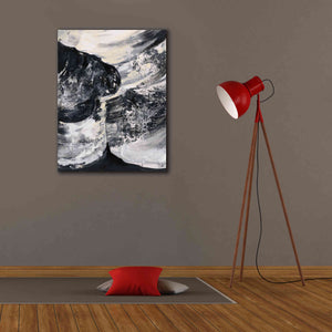 Epic Art 'Graphic Canyon II' by Silvia Vassileva, Canvas Wall Art,26 x 34