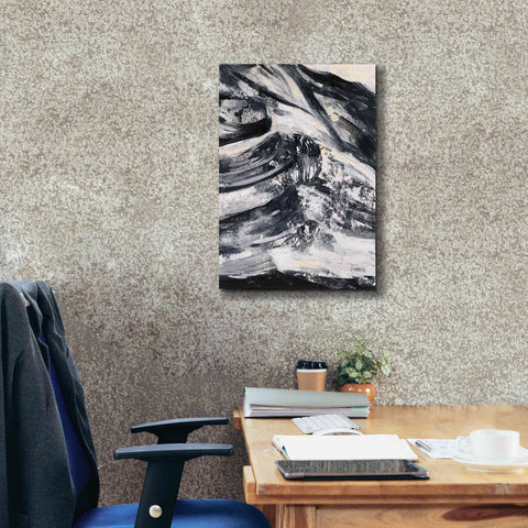 Image of Epic Art 'Graphic Canyon III' by Silvia Vassileva, Canvas Wall Art,18 x 26