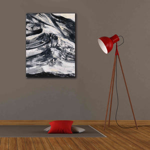 Epic Art 'Graphic Canyon III' by Silvia Vassileva, Canvas Wall Art,26 x 34