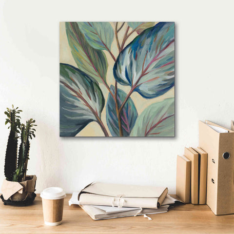 Image of Epic Art 'Greenhouse Leaves' by Silvia Vassileva, Canvas Wall Art,18 x 18