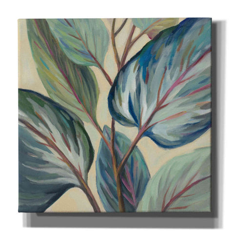 Image of Epic Art 'Greenhouse Leaves' by Silvia Vassileva, Canvas Wall Art,12x12x1.1x0,18x18x1.1x0,26x26x1.74x0,37x37x1.74x0