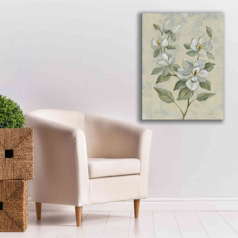 Image of Epic Art 'Sage Magnolia' by Silvia Vassileva, Canvas Wall Art,26 x 34