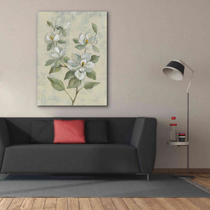 Epic Art 'Sage Magnolia' by Silvia Vassileva, Canvas Wall Art,40 x 54