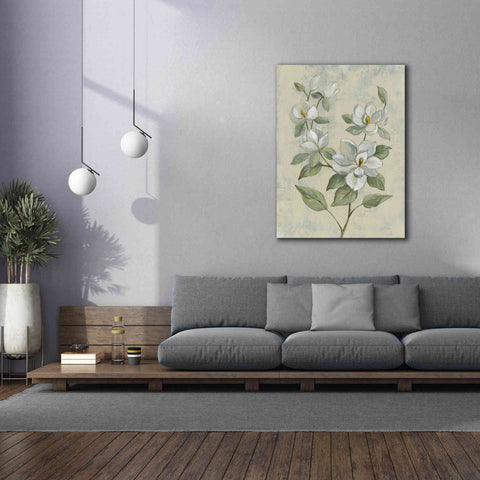 Image of Epic Art 'Sage Magnolia' by Silvia Vassileva, Canvas Wall Art,40 x 54