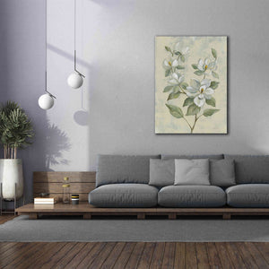 Epic Art 'Sage Magnolia' by Silvia Vassileva, Canvas Wall Art,40 x 54