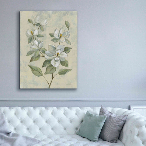 Image of Epic Art 'Sage Magnolia' by Silvia Vassileva, Canvas Wall Art,40 x 54