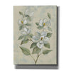 Epic Art 'Sage Magnolia' by Silvia Vassileva, Canvas Wall Art,12x16x1.1x0,18x26x1.1x0,26x34x1.74x0,40x54x1.74x0