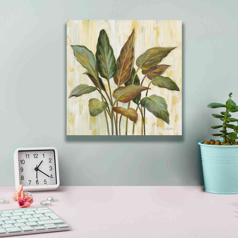 Image of Epic Art 'Fall Greenhouse Leaves' by Silvia Vassileva, Canvas Wall Art,12 x 12