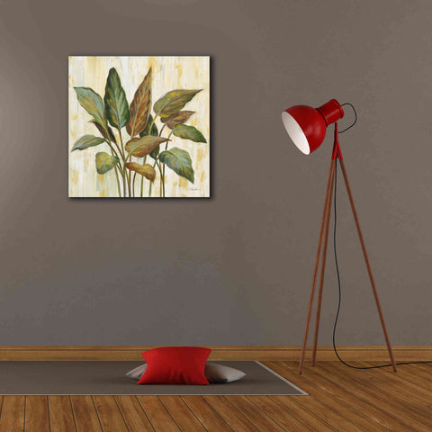 Image of Epic Art 'Fall Greenhouse Leaves' by Silvia Vassileva, Canvas Wall Art,26 x 26