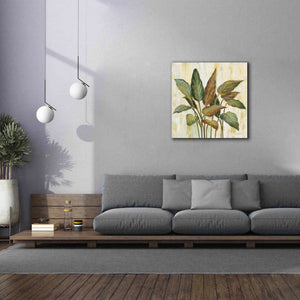 Epic Art 'Fall Greenhouse Leaves' by Silvia Vassileva, Canvas Wall Art,37 x 37