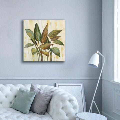 Image of Epic Art 'Fall Greenhouse Leaves' by Silvia Vassileva, Canvas Wall Art,37 x 37