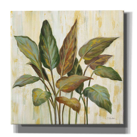 Image of Epic Art 'Fall Greenhouse Leaves' by Silvia Vassileva, Canvas Wall Art,12x12x1.1x0,18x18x1.1x0,26x26x1.74x0,37x37x1.74x0