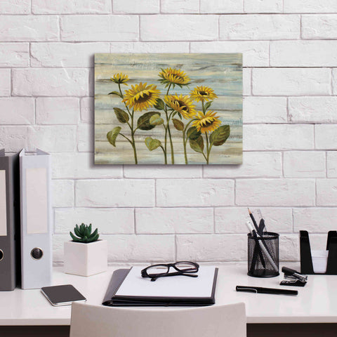Image of Epic Art 'Cottage Sunflowers' by Silvia Vassileva, Canvas Wall Art,16 x 12