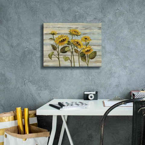 Image of Epic Art 'Cottage Sunflowers' by Silvia Vassileva, Canvas Wall Art,16 x 12