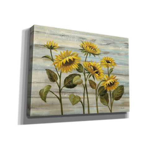 Image of Epic Art 'Cottage Sunflowers' by Silvia Vassileva, Canvas Wall Art,16x12x1.1x0,26x18x1.1x0,34x26x1.74x0,54x40x1.74x0