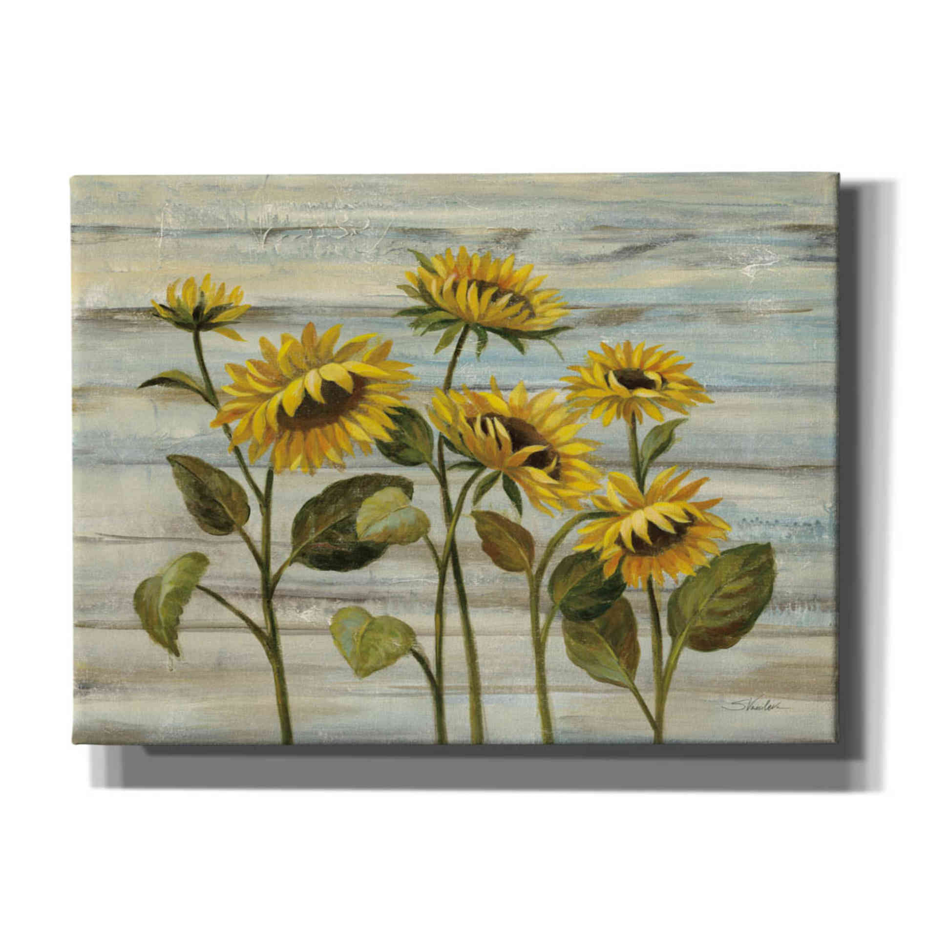 Epic Art 'Cottage Sunflowers' by Silvia Vassileva, Canvas Wall Art,16x12x1.1x0,26x18x1.1x0,34x26x1.74x0,54x40x1.74x0