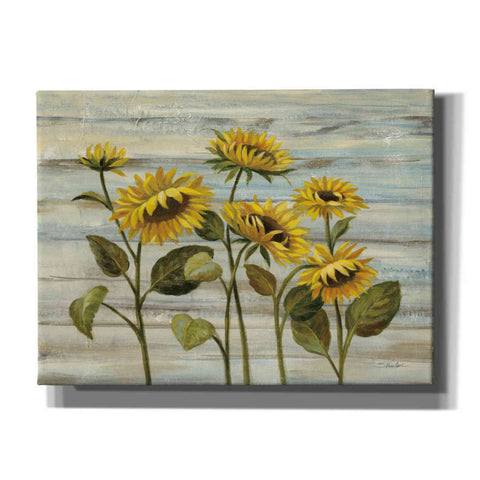Image of Epic Art 'Cottage Sunflowers' by Silvia Vassileva, Canvas Wall Art,16x12x1.1x0,26x18x1.1x0,34x26x1.74x0,54x40x1.74x0