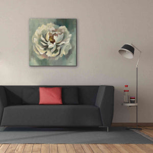 Epic Art 'Dancing Petals' by Silvia Vassileva, Canvas Wall Art,37 x 37