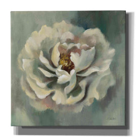 Epic Art 'Dancing Petals' by Silvia Vassileva, Canvas Wall Art,12x12x1.1x0,18x18x1.1x0,26x26x1.74x0,37x37x1.74x0