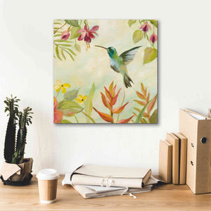 Epic Art 'Hummingbirds Song III' by Silvia Vassileva, Canvas Wall Art,18 x 18