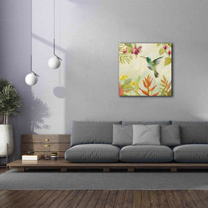 Epic Art 'Hummingbirds Song III' by Silvia Vassileva, Canvas Wall Art,37 x 37