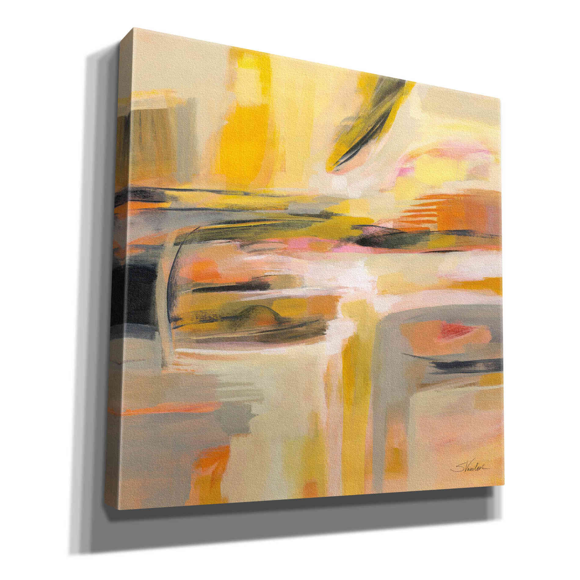 'Happy Sunshine' by Silvia Vassileva, Canvas Wall Art,12x12x1.1x0,18x18x1.1x0,26x26x1.74x0,37x37x1.74x0