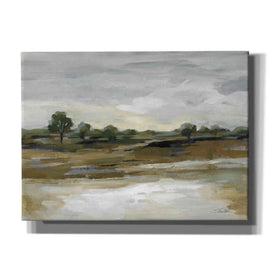 'Cool April Day' by Silvia Vassileva, Canvas Wall Art,16x12x1.1x0,26x18x1.1x0,34x26x1.74x0,54x40x1.74x0