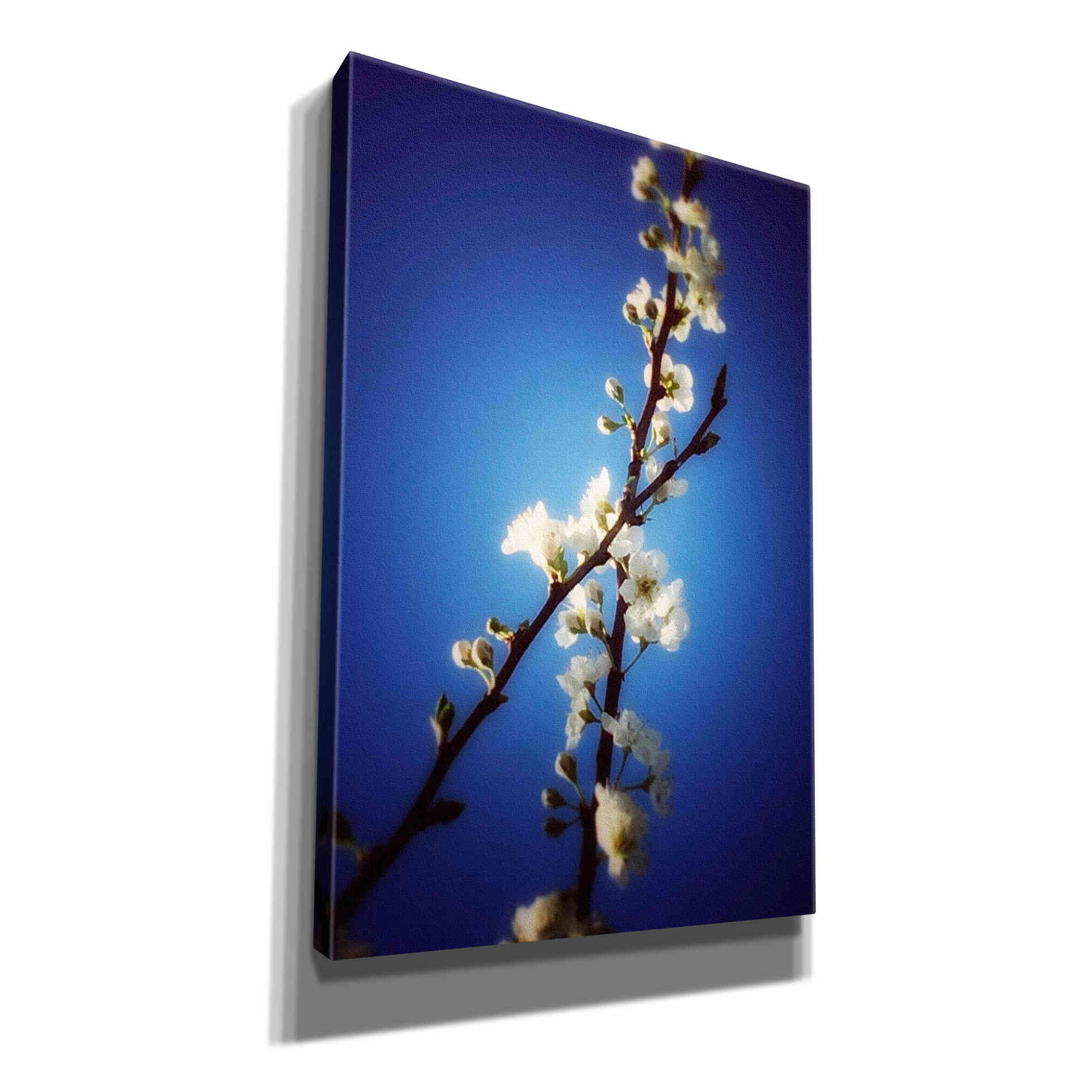 'Almost Blue' by Cesare Bellassai, Canvas Wall Art,12x18x1.1x0,18x26x1.1x0,26x40x1.74x0,40x60x1.74x0