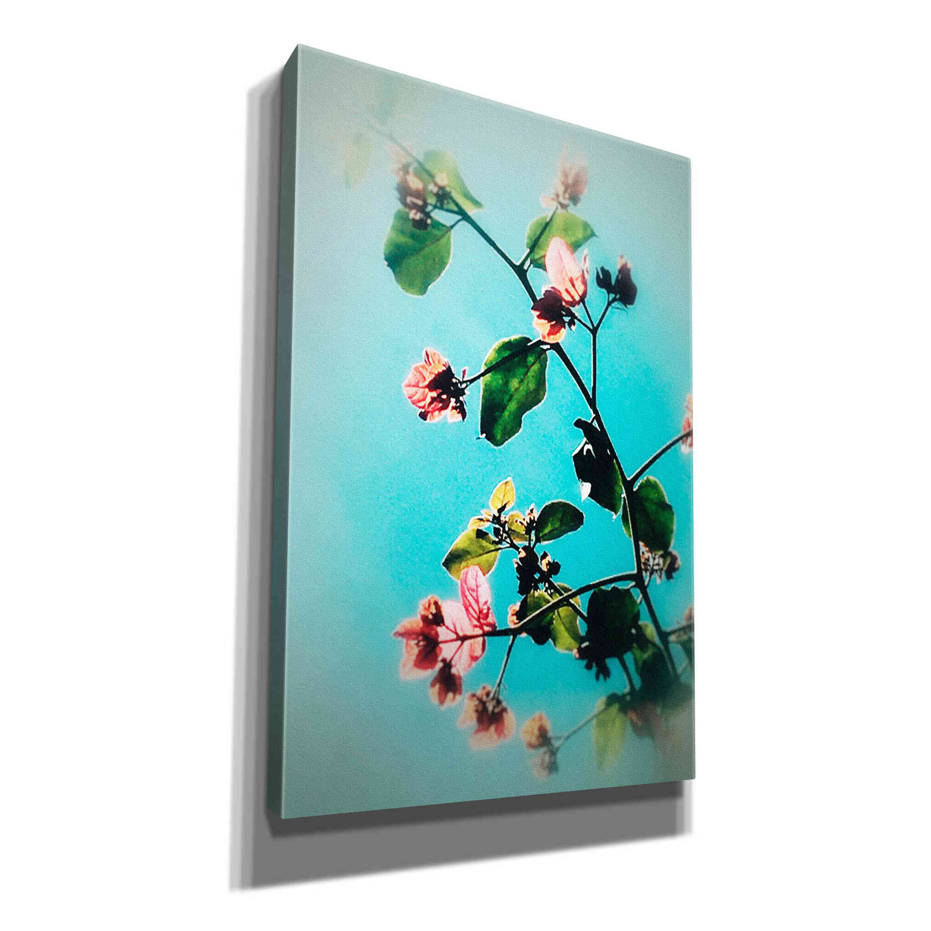 'Bloom & Beauty' by Cesare Bellassai, Canvas Wall Art,12x18x1.1x0,18x26x1.1x0,26x40x1.74x0,40x60x1.74x0