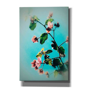 'Bloom & Beauty' by Cesare Bellassai, Canvas Wall Art,12x18x1.1x0,18x26x1.1x0,26x40x1.74x0,40x60x1.74x0