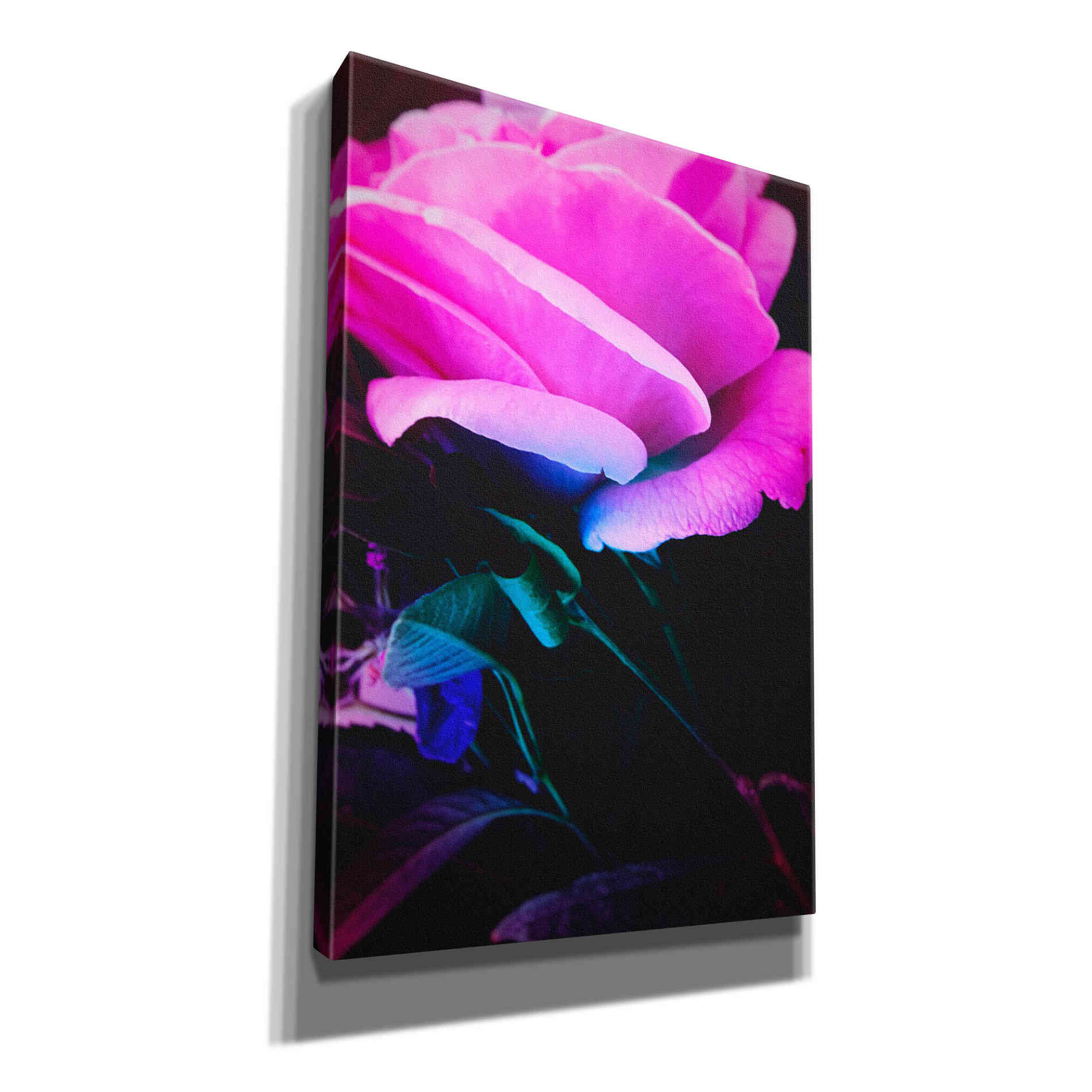 'Eternal Passion' by Cesare Bellassai, Canvas Wall Art,12x18x1.1x0,18x26x1.1x0,26x40x1.74x0,40x60x1.74x0