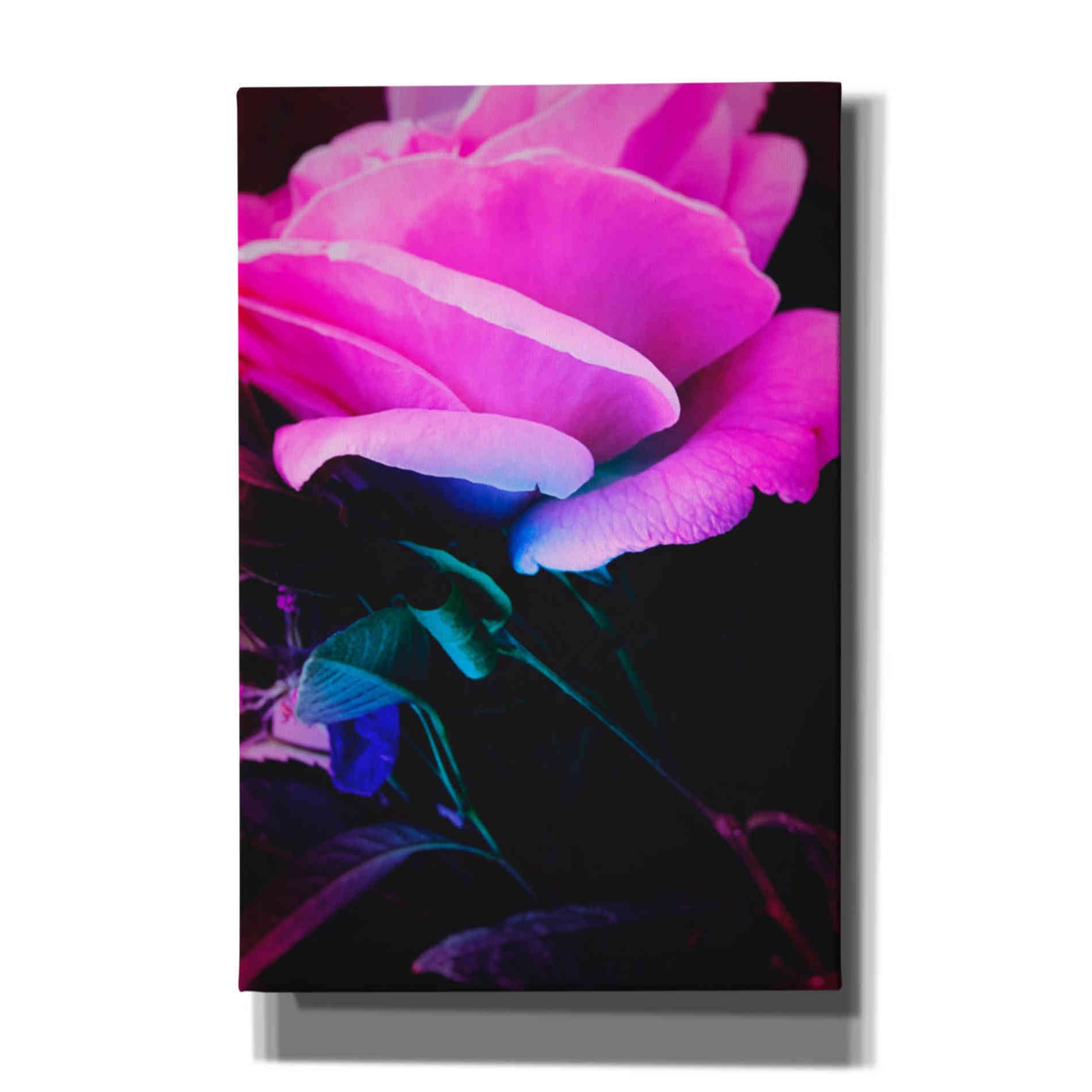 'Eternal Passion' by Cesare Bellassai, Canvas Wall Art,12x18x1.1x0,18x26x1.1x0,26x40x1.74x0,40x60x1.74x0