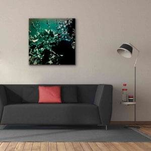 'Green Poem' by Cesare Bellassai, Canvas Wall Art,37 x 37