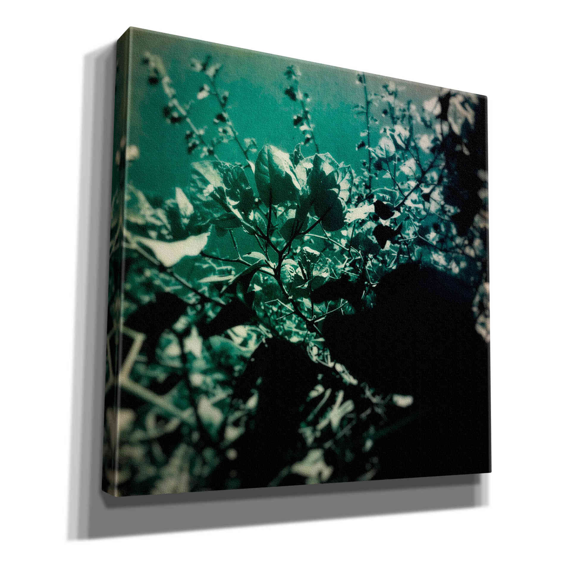 'Green Poem' by Cesare Bellassai, Canvas Wall Art,12x12x1.1x0,18x18x1.1x0,26x26x1.74x0,37x37x1.74x0