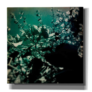 'Green Poem' by Cesare Bellassai, Canvas Wall Art,12x12x1.1x0,18x18x1.1x0,26x26x1.74x0,37x37x1.74x0