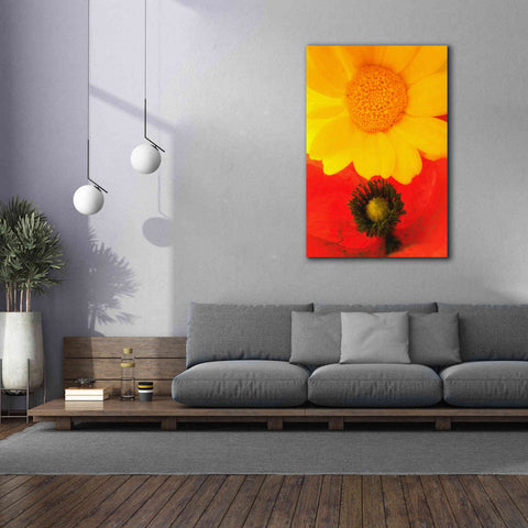 Image of 'Spring Love' by Cesare Bellassai, Canvas Wall Art,40 x 60
