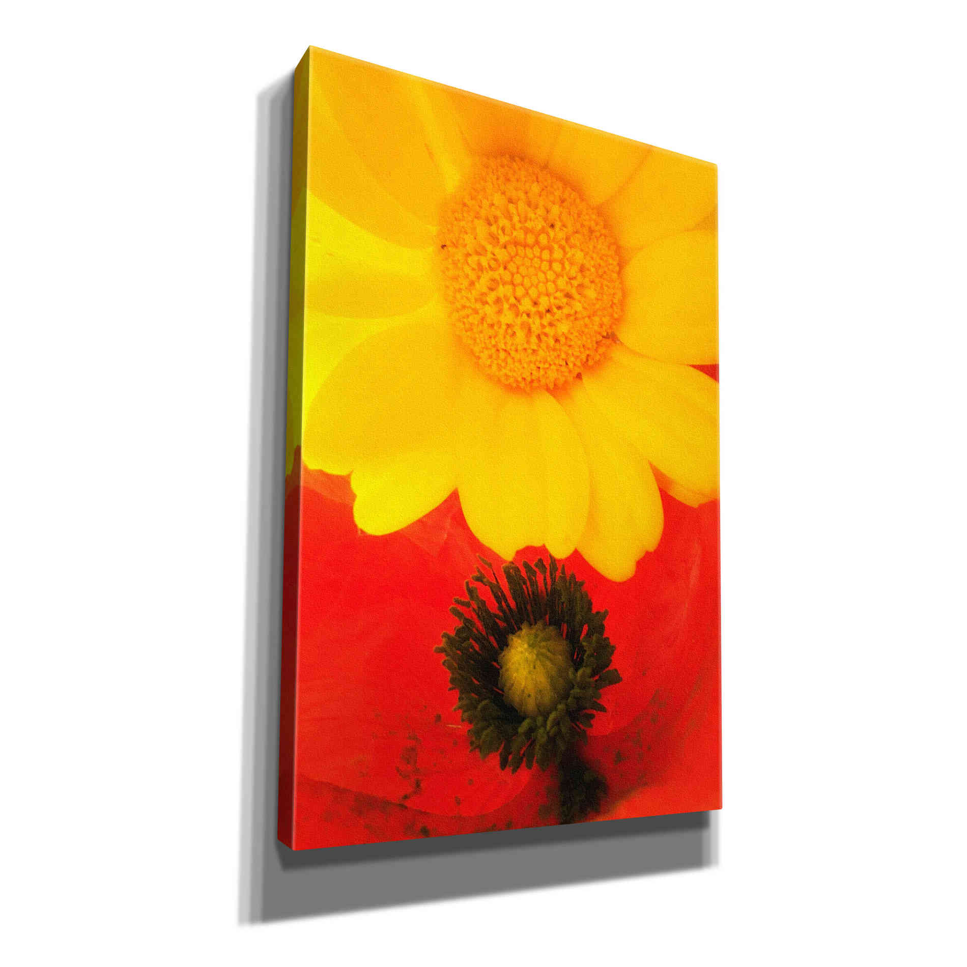'Spring Love' by Cesare Bellassai, Canvas Wall Art,12x18x1.1x0,18x26x1.1x0,26x40x1.74x0,40x60x1.74x0