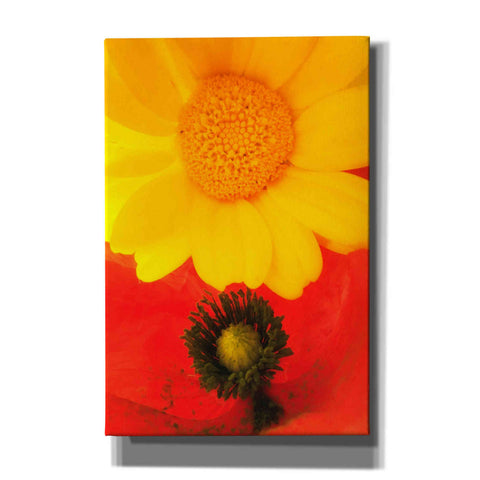 Image of 'Spring Love' by Cesare Bellassai, Canvas Wall Art,12x18x1.1x0,18x26x1.1x0,26x40x1.74x0,40x60x1.74x0