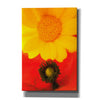 'Spring Love' by Cesare Bellassai, Canvas Wall Art,12x18x1.1x0,18x26x1.1x0,26x40x1.74x0,40x60x1.74x0