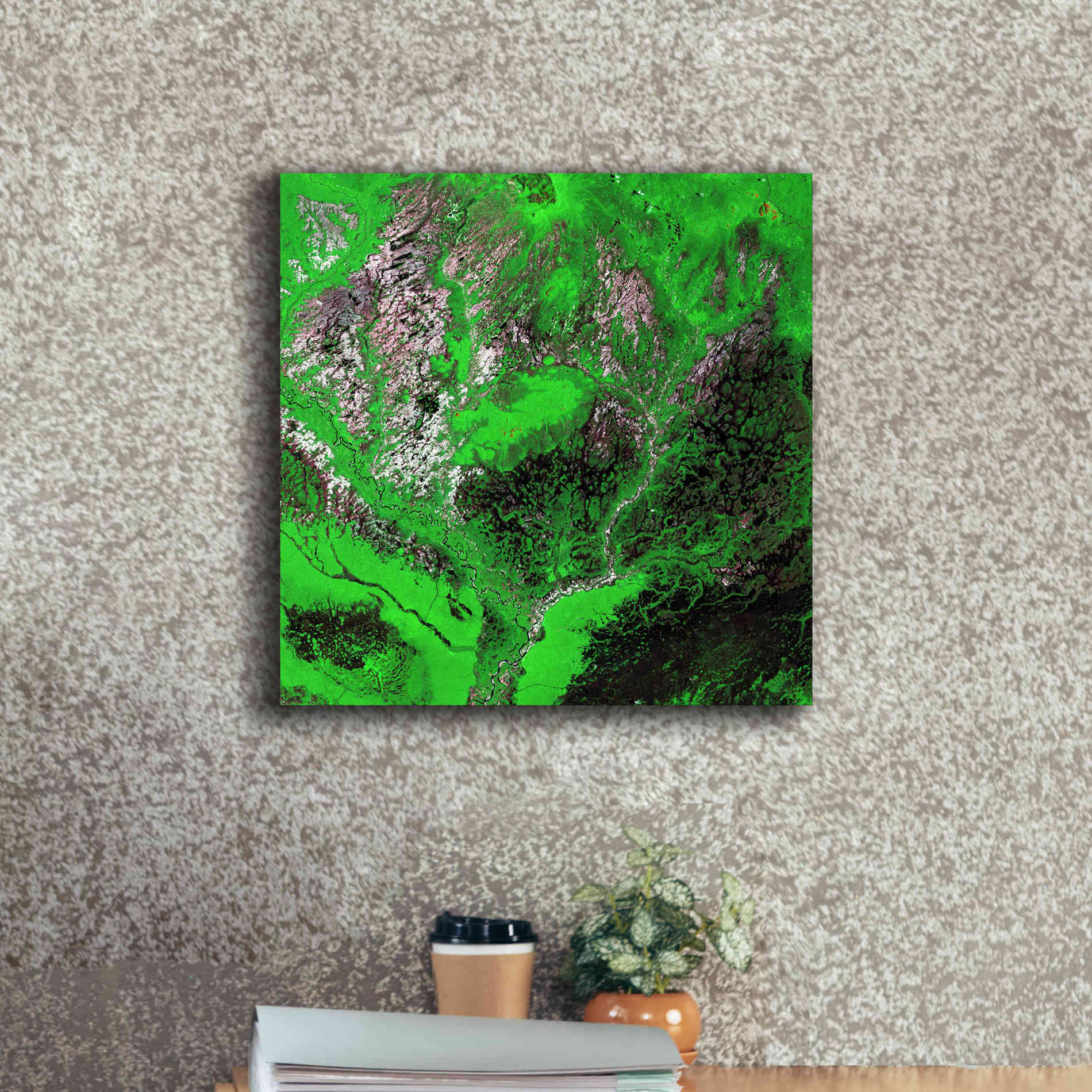 'Earth as Art: Araca River' Canvas Wall Art,18 x 18