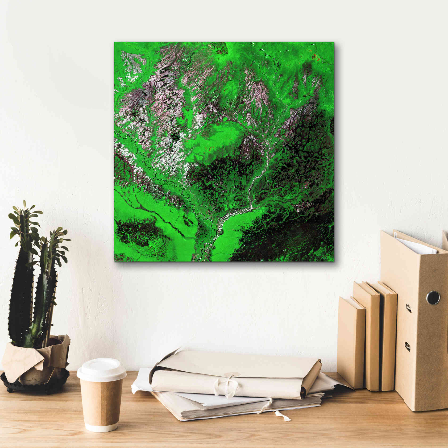 'Earth as Art: Araca River' Canvas Wall Art,18 x 18