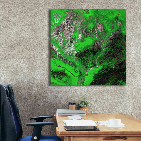Image of 'Earth as Art: Araca River' Canvas Wall Art,37 x 37