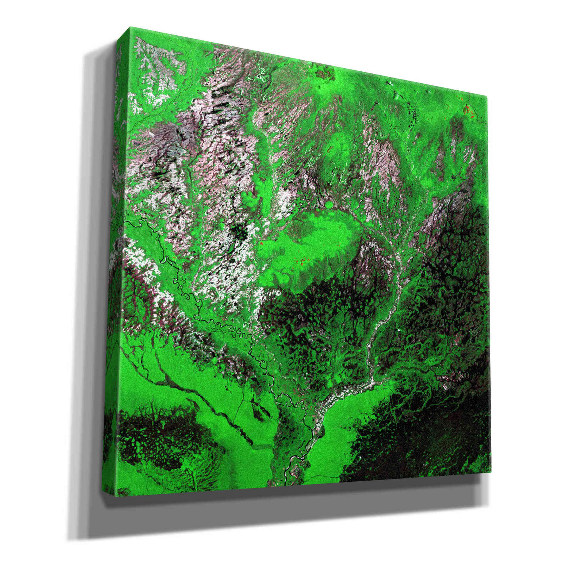 'Earth as Art: Araca River' Canvas Wall Art
