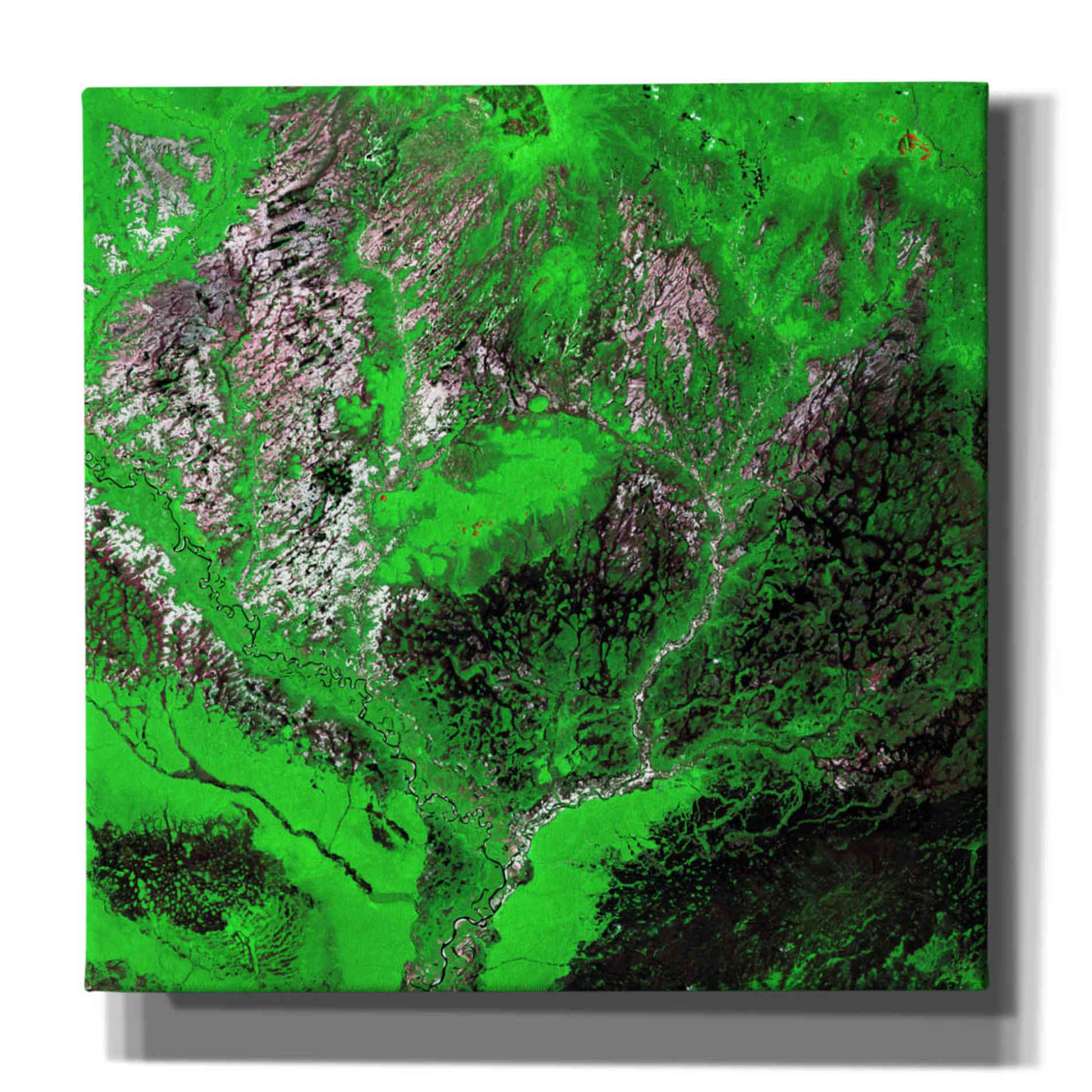 'Earth as Art: Araca River' Canvas Wall Art