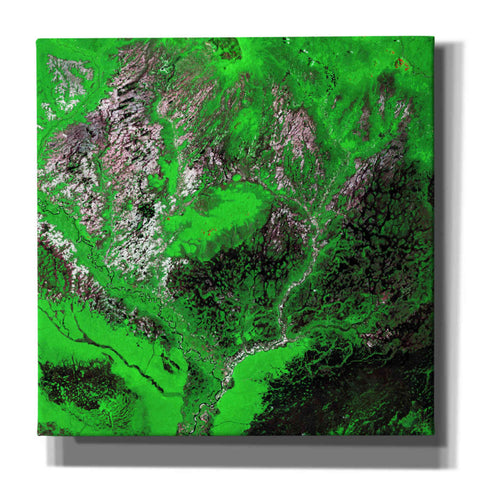 Image of 'Earth as Art: Araca River' Canvas Wall Art